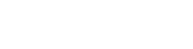 Fligoo AI Services